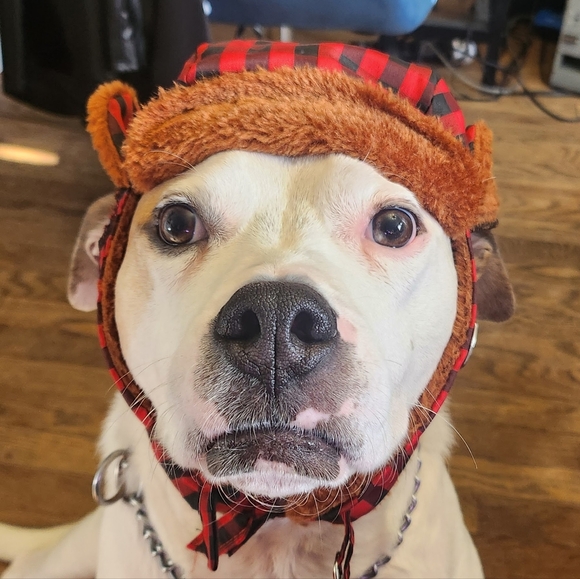 BUTTERFLY_1097 IS LIVE!! - Picture 5 of 8